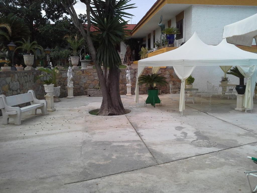Hotel Gines Luaran gambar